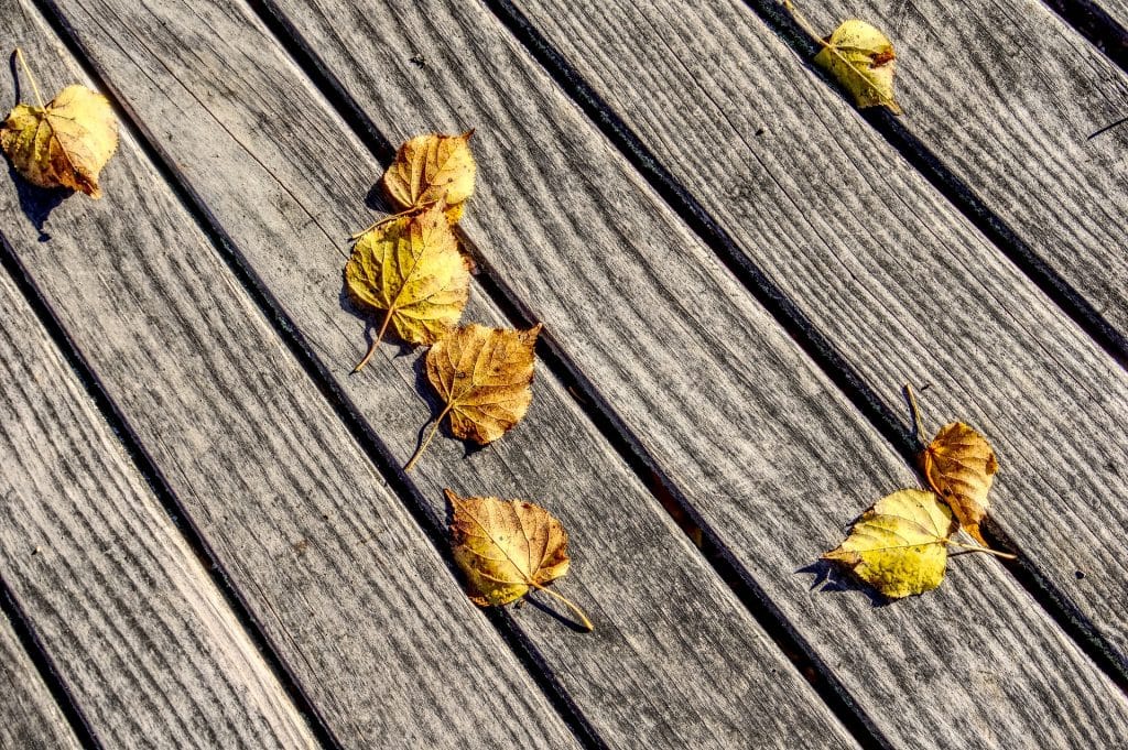 Des feuilles mortes jaunes sur une terrasse en bois