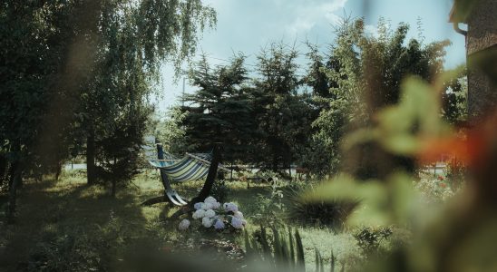 Un jardin avec des fleurs et un hamac rayé vert et blanc