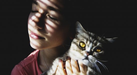 Femme qui tient un chat dans ses bras et lui fait un câlin