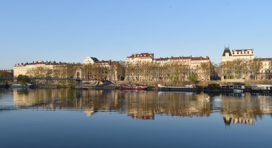 Vue des quais du Rhône à Lyon où les arbres se reflètent dans le fleuve