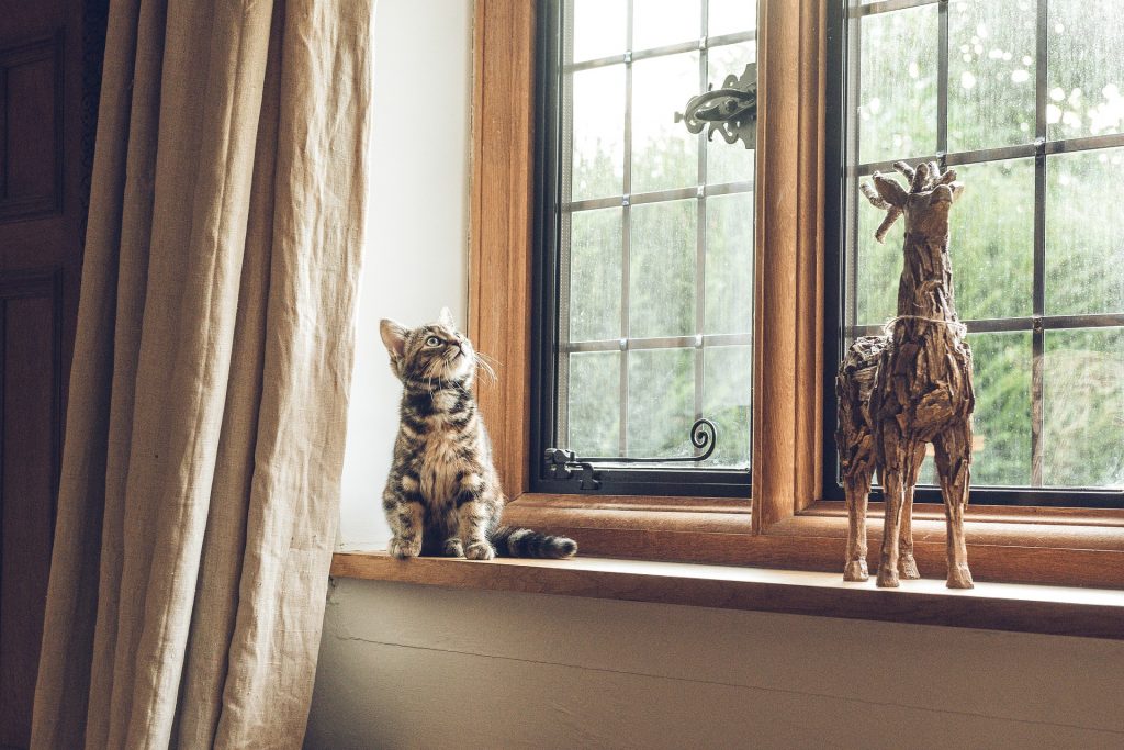Rebord de fenêtre sur lequel un chat est assis à côté d'un bibelot en forme de cerf