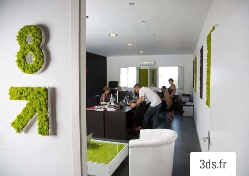 Bureaux modernes par 3DS Groupe